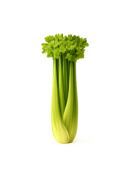 bunch of celery