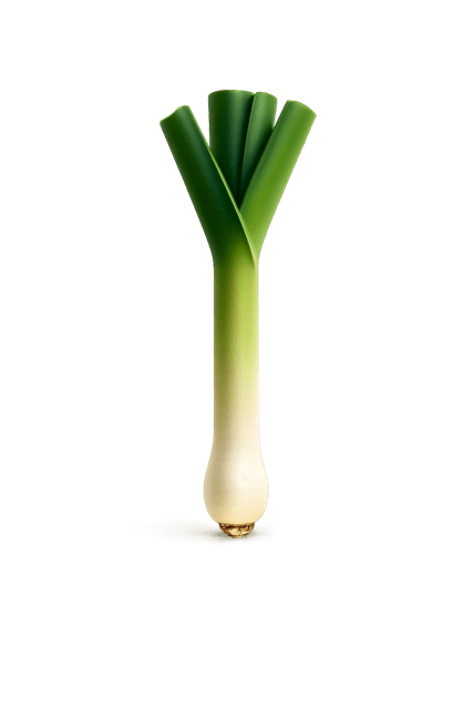 leek