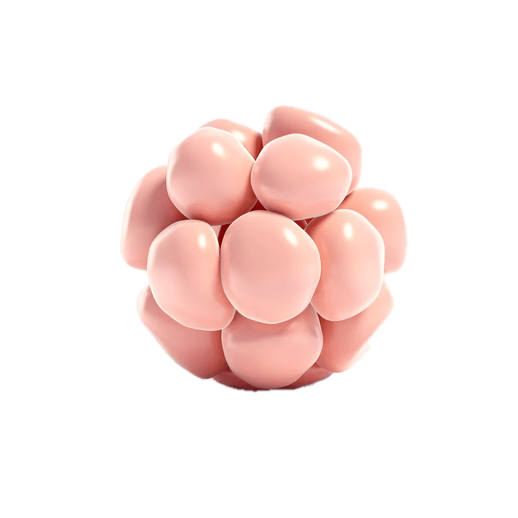 Semana 3 da Gravidez