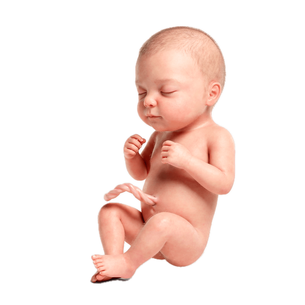 Week 33 of Pregnancy