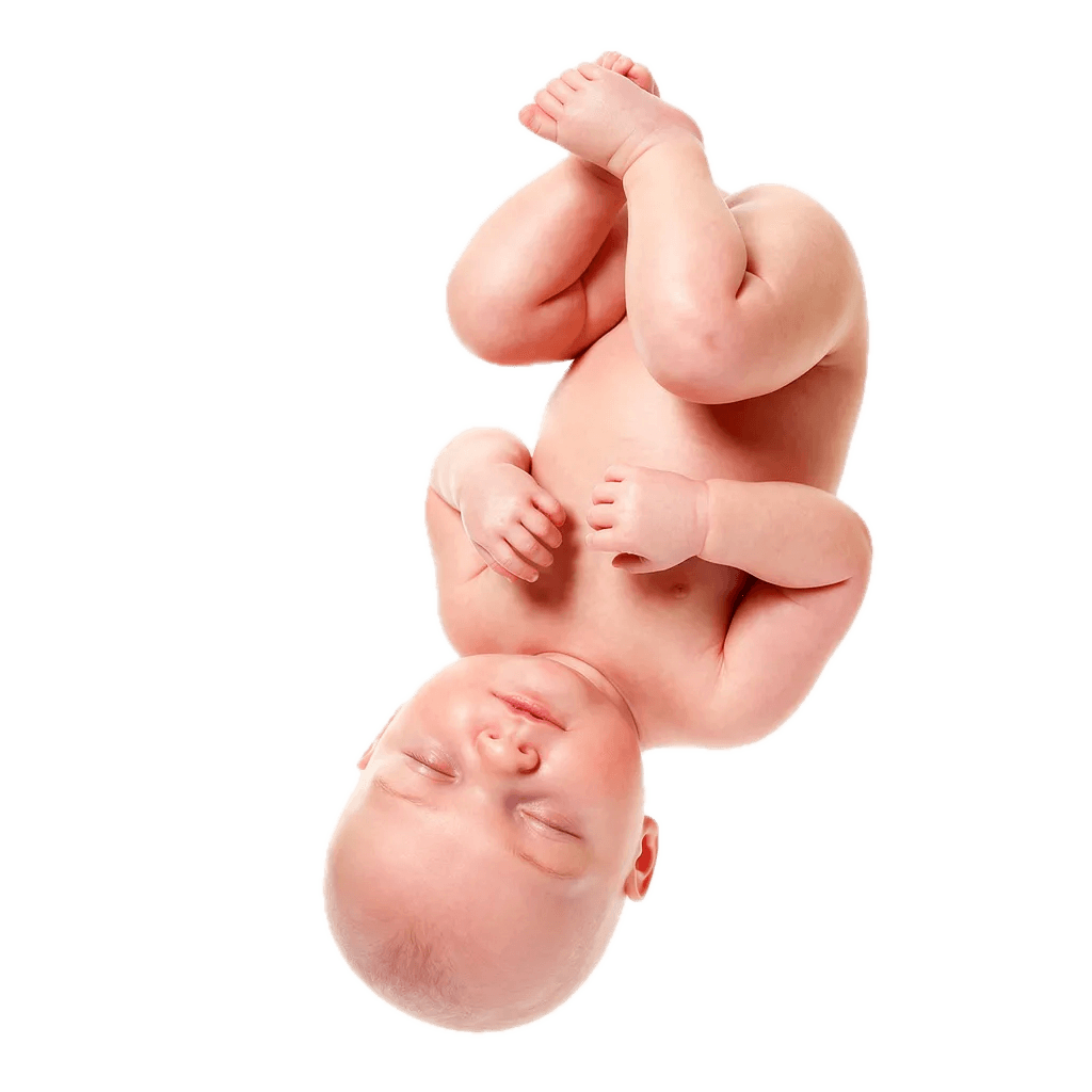 Week 36 of Pregnancy